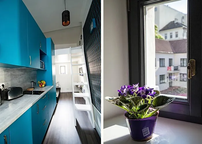 Violet Studio By Ruterra